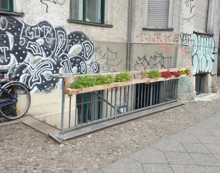 הכניסה לסטודיו שלנו: בימים אלה פורחת ומשמחת