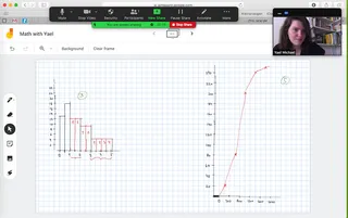 ככה נראה שיעור מתמטיקה אונליין