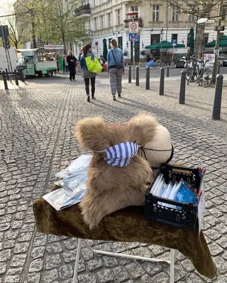 אורח בשוק יום חמישי בקולוויץ-שטראסה