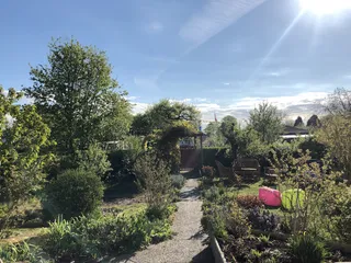 הגינה שלנו, פינת גן עדן שבה ניתן לשכוח שבכלל יש קורונה בעולם