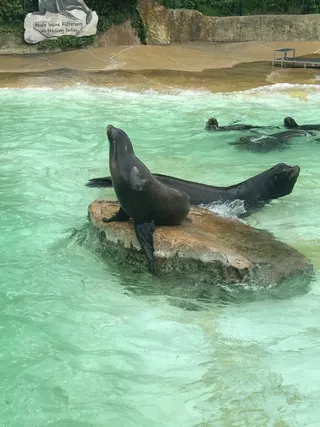 גן החיות, המקום שהכי התגעגענו אליו בברלין