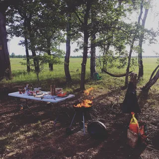 ברביקיו ביער