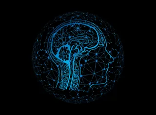 המוח שלנו ומשבר הקורונה