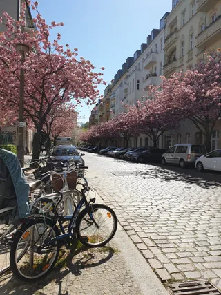 נהנים מרחובות ברלין הריקים
