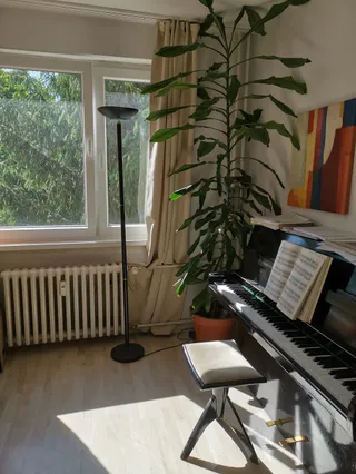 הדירה, הפסנתר והעץ בחלון